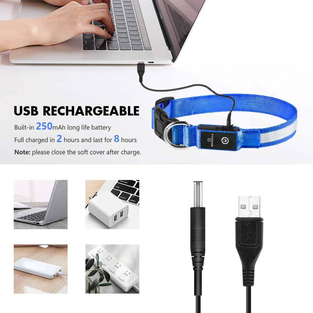Luminous Dog Collar Waterpoof Safety