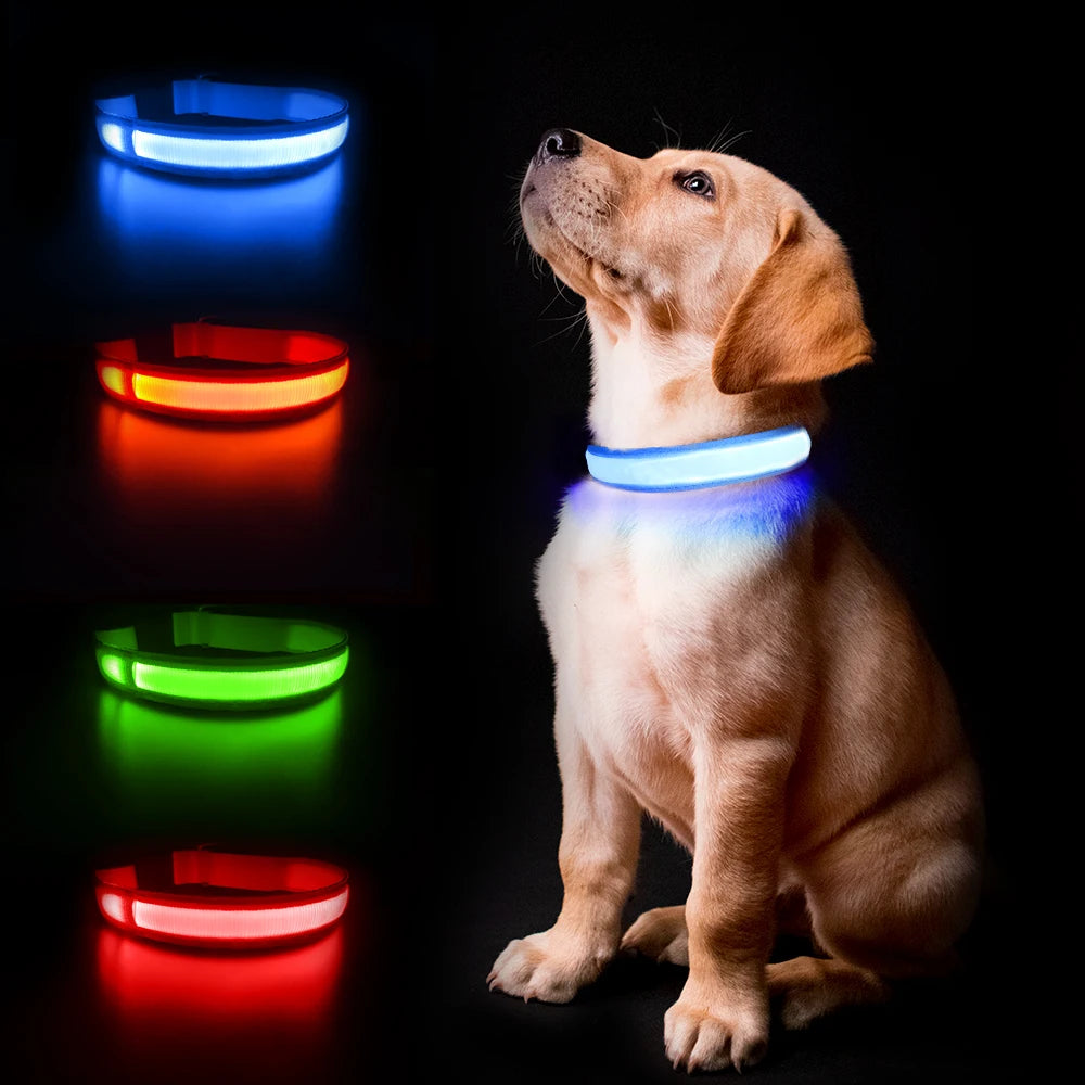 Luminous Dog Collar Waterpoof Safety