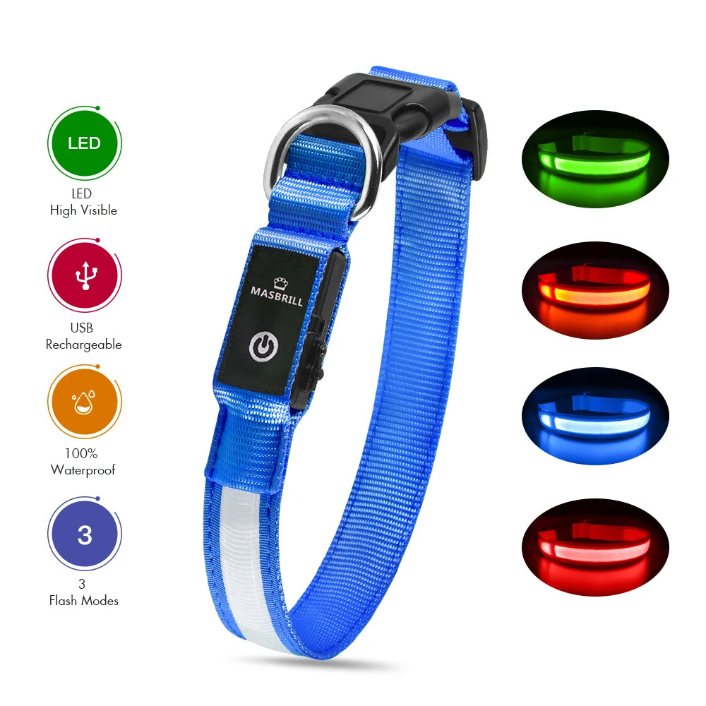 Luminous Dog Collar Waterpoof Safety
