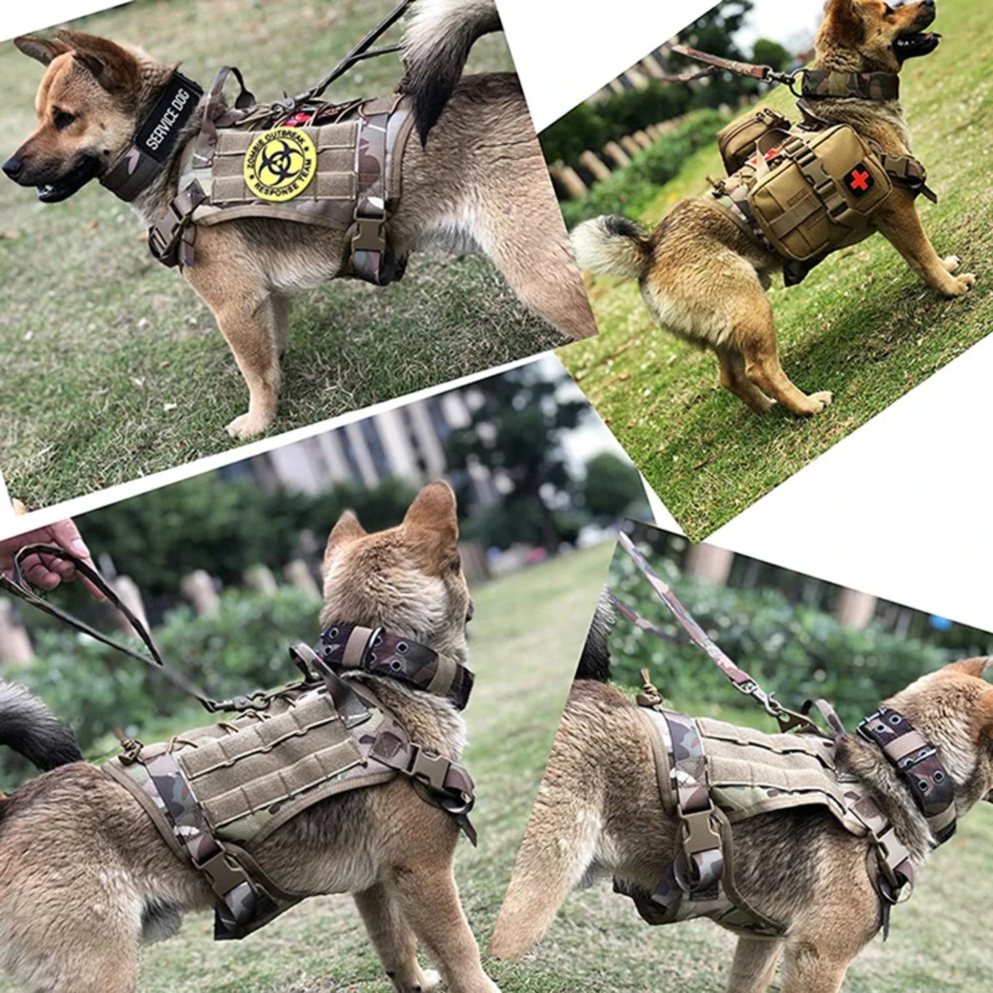 Comfortable and Durable Adjustable Dog Harness Set