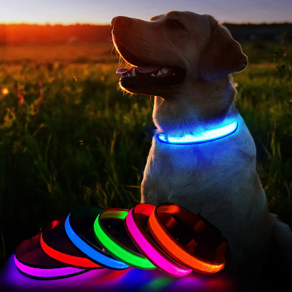 Luminous Dog Collar Waterpoof Safety