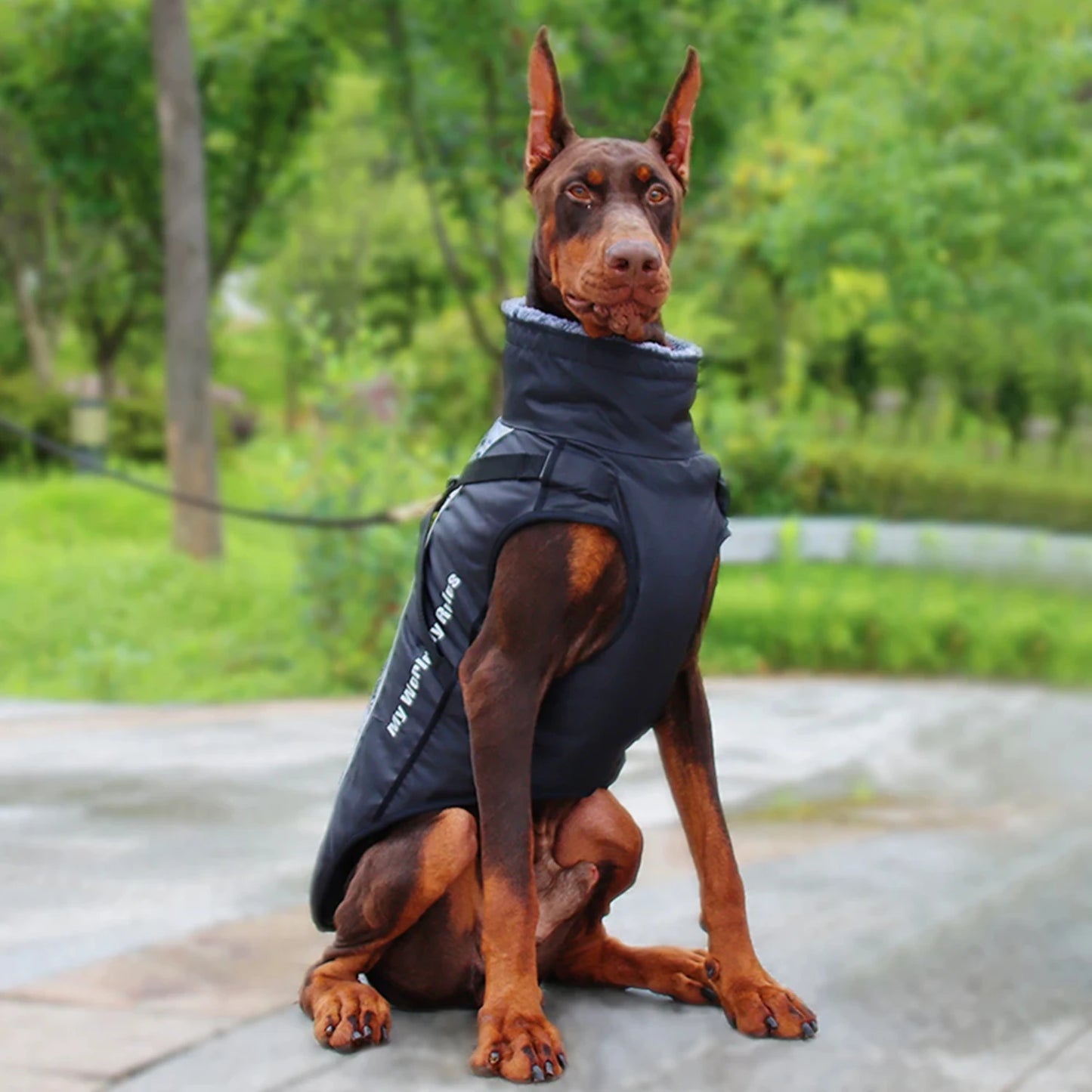 Large Pet Dog Jacket with Harness Winter Reflective Pet Coat