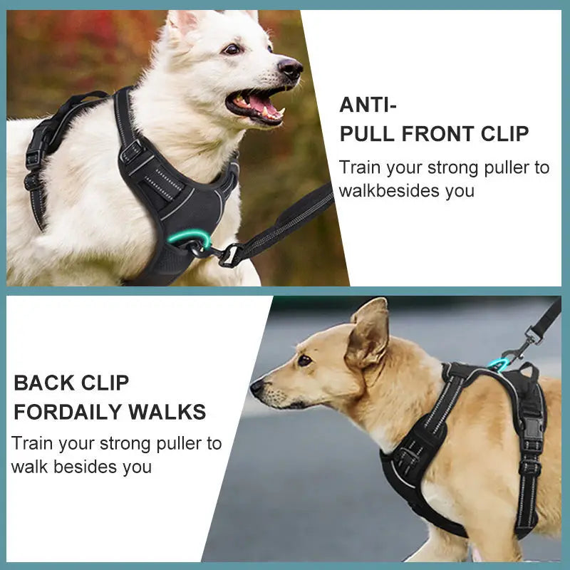 retractable  leash  training harness set for dogs