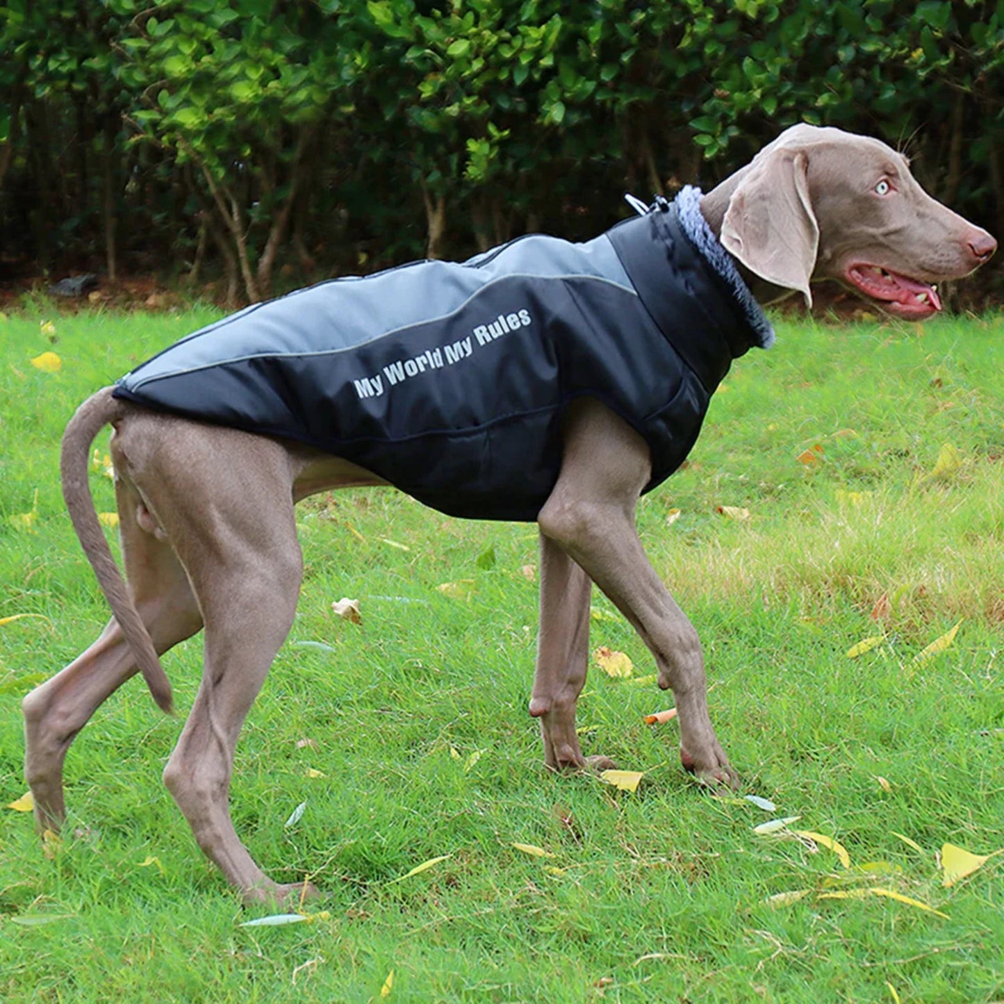 Large Pet Dog Jacket with Harness Winter Reflective Pet Coat