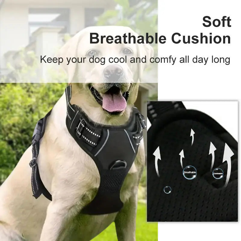 retractable  leash  training harness set for dogs